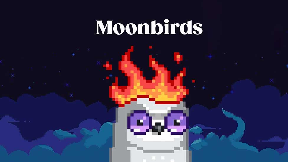 Moonbirds Pro