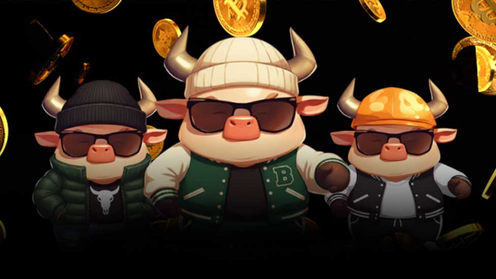 BitHarvest Launches